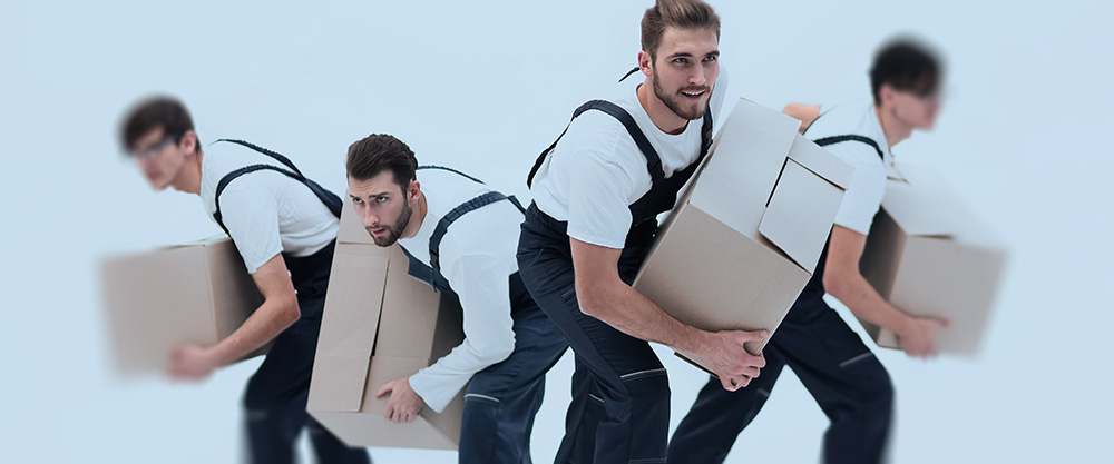 Shady Warehouse Worker Carrying boxes