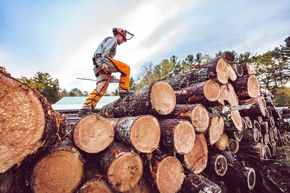 Logger Boots need to have aggressive outsoles for safety.