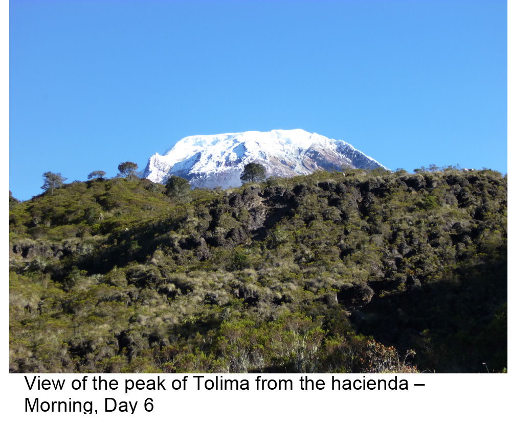 The snowy peak of Tolima, in the Colombia Andes