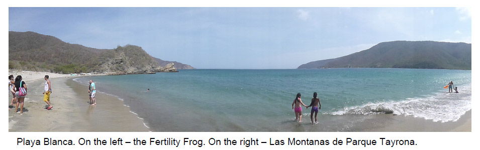 Playa Concha beach, with its pristine water