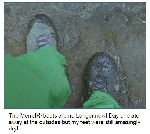 Merrell Moab Hikers remained tough and protective