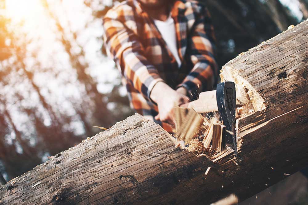 Logger working in a forest chopping a log